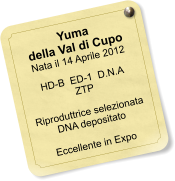 Yuma della Val di Cupo Nata il 14 Aprile 2012    HD-B  ED-1  D.N.A   ZTP  Riproduttrice selezionata DNA depositato  Eccellente in Expo