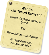 Wanito dei Tesori Etruschi  esente displasia anche e gomiti  ZTP  Riproduttore selezionato  4 classificato nel Klubsieger 2017