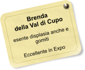 Brenda della Val di Cupo  esente displasia anche e gomiti  Eccellente in Expo