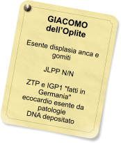 GIACOMO dellOplite  Esente displasia anca e gomiti  JLPP N/N  ZTP e IGP1 "fatti in Germania" ecocardio esente da patologie DNA depositato